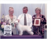 2002 Best Puppy In Show ACCC National Specialty,1st Place 6-9 Puppy Bitch