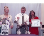 2002 Reserve Winners Dog ACCC National Specialty, 1st Place BBX Dog