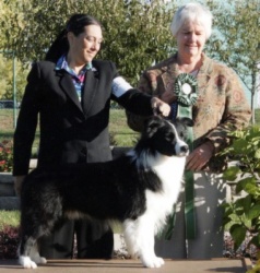 Gch Ch. Majestic Avatar Storm Warning