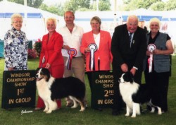 Shocka and Riley winning Pastoral goup 1 and 2 at Windsor