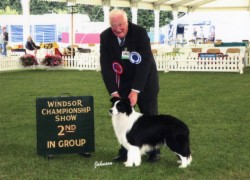 Riley winning Pastoral Group 2 at Windsor. Judge Mrs Jean Collins