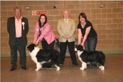 Photo by Ron Hawkins. Drifter winning Best Veteran in Show. Judge Dave Weller and BIS judge Jeff Luscott. Handled by Josie Large